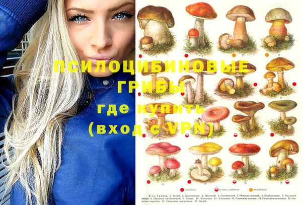 Альфа ПВП Алексеевка